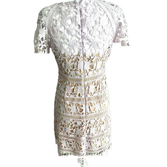 Eliza J lace purple cocktail dress, Size 8P - Picture 3 of 6